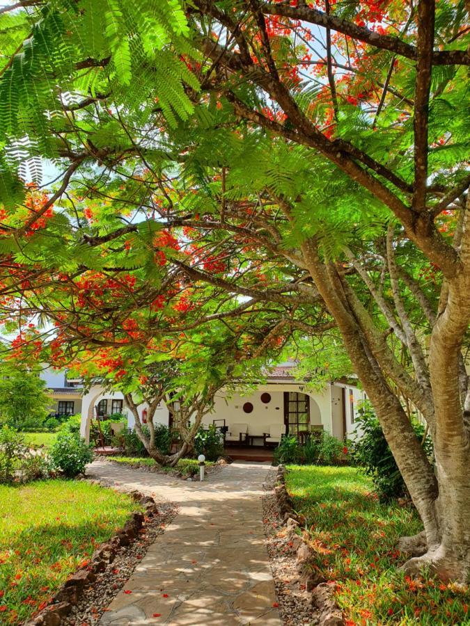 Flame Tree Cottages Nungwi Exterior foto