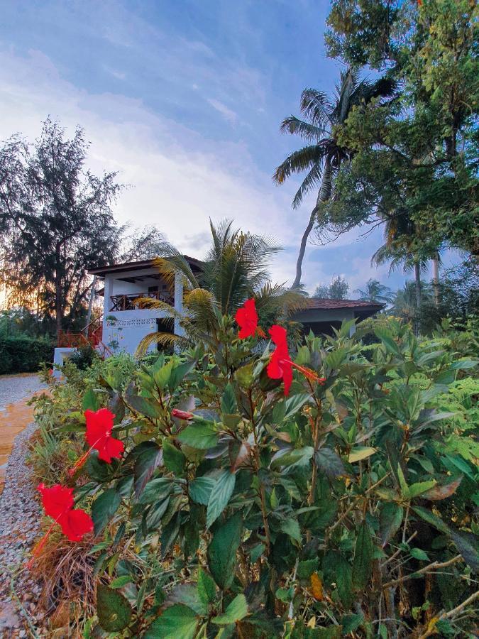 Flame Tree Cottages Nungwi Exterior foto